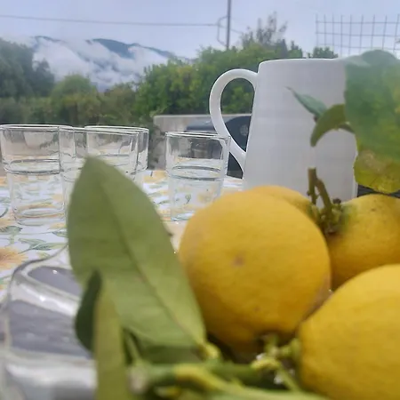 Spedion Kefallonia * Pesádha